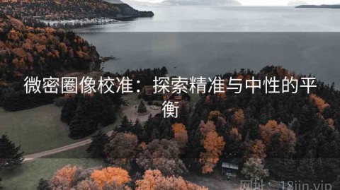微密圈像校准：探索精准与中性的平衡